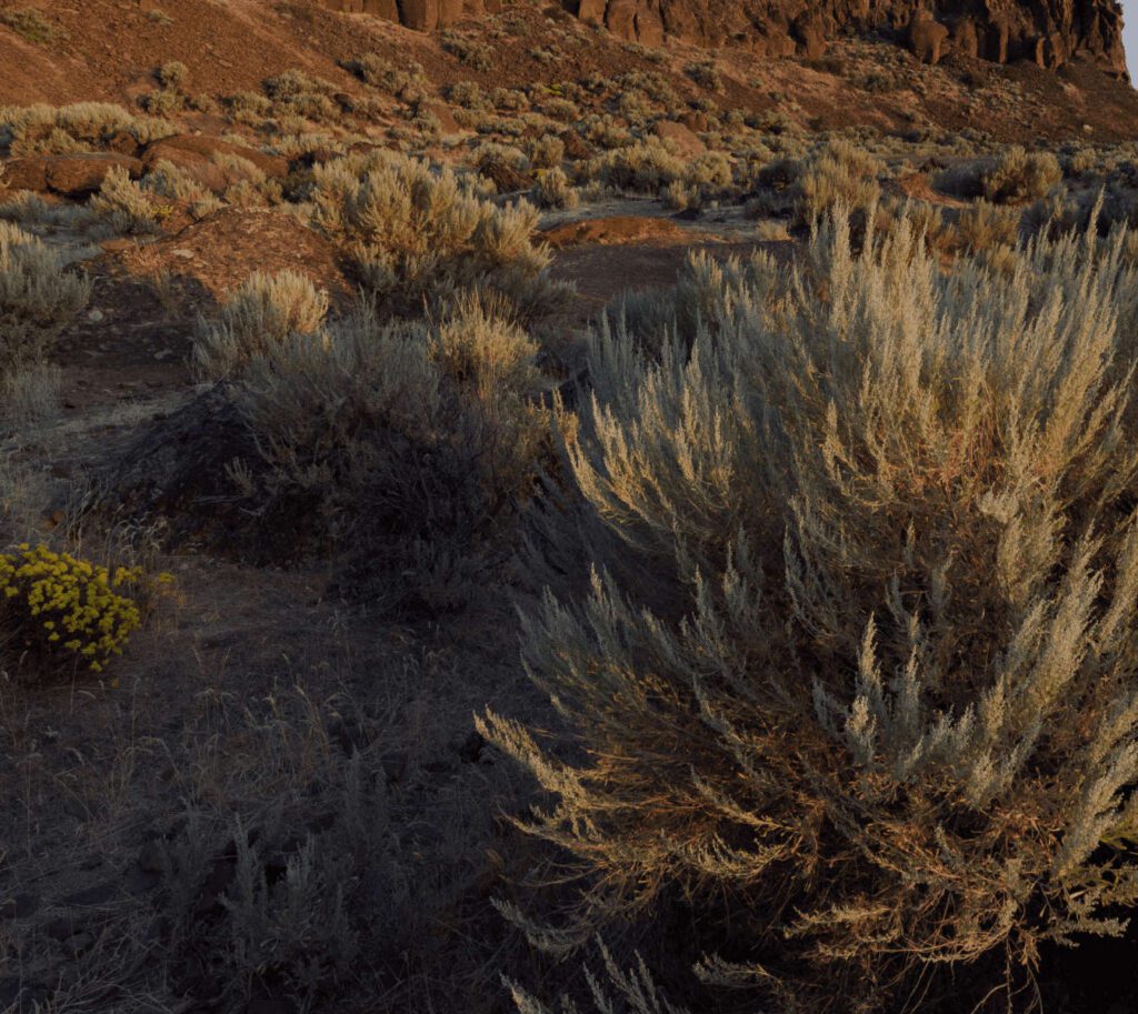 Eastern Washington desert landscape with sagebrush